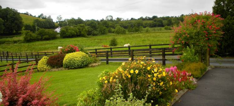 克洛宁之家酒店(Clooneen House)图片