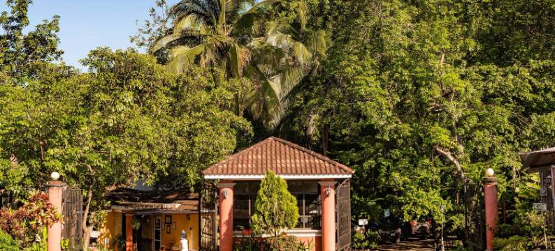 罗斯奎乔斯豪宅酒店(Mansión Los Guichos)图片