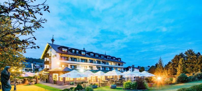 布鲁恩霍夫贝斯特韦斯特酒店(Best Western Hotel Brunnenhof)图片