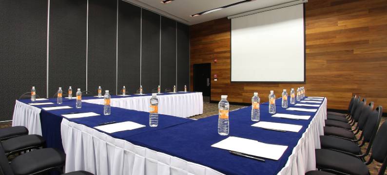 梅尼达嘉年华酒店(Fiesta Inn Merida)图片