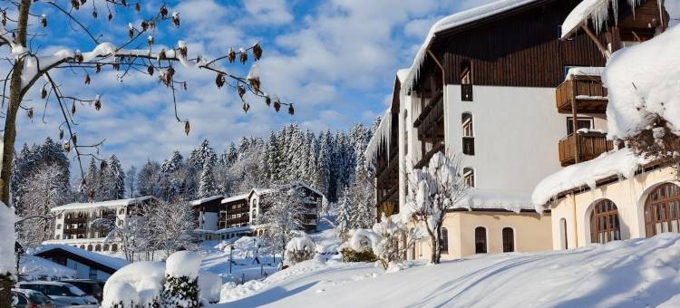 奥柏斯陶芬蒙蒂度假村(Mondi Resort Und Chalet Oberstaufen)图片