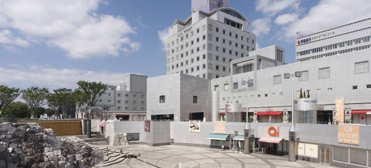 筑波日航酒店(Hotel Nikko Tsukuba)图片