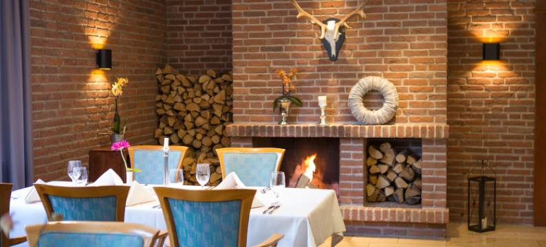 阿斯科纳维塔尔酒店(VitalHotel Ascona)图片