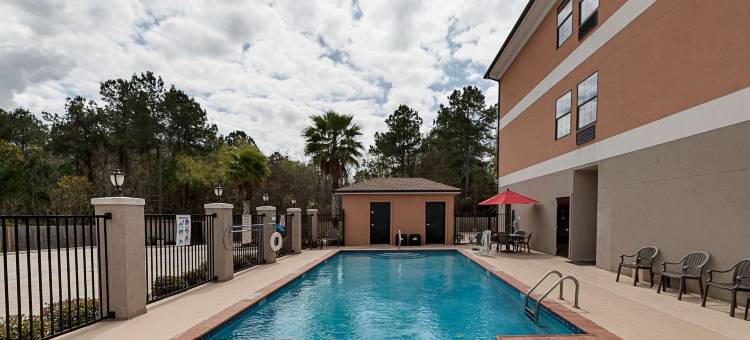 萨尔弗 - 查尔斯湖舒适套房酒店(Comfort Suites Sulphur-Lake Charles)图片