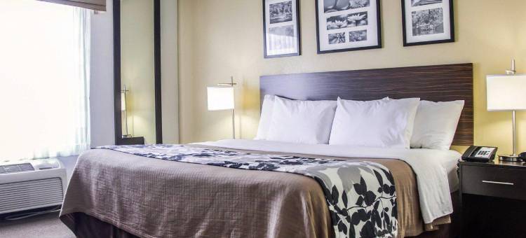 廷利帕尔克I80-近露天剧场-会议中心舒眠酒店(Sleep Inn Tinley Park I-80 Near Amphitheatre-Convention Center)图片