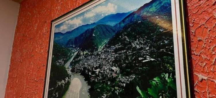 巴拉吉民宿(Balaji Homestay)图片
