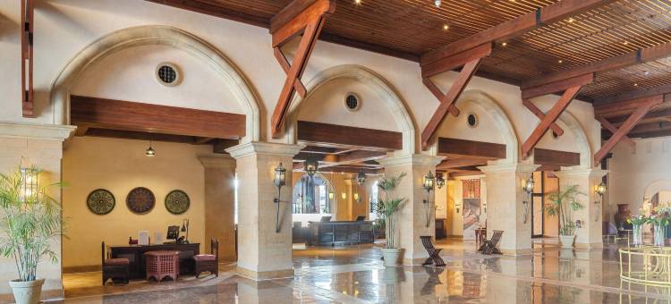 加利布港皮卡尔巴特罗斯绿洲酒店(Pickalbatros Oasis Port Ghalib)图片