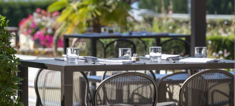 埃维昂莱班希尔顿酒店(Hilton Evian-Les-Bains)图片