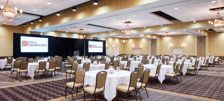 希尔顿花园旅馆-托雷多佩里斯堡(Hilton Garden Inn Toledo Perrysburg)图片