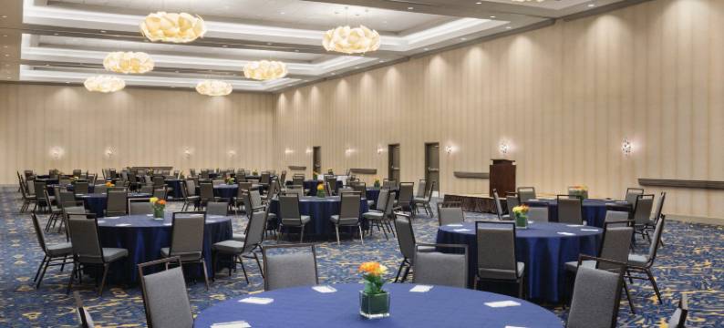 迈克艾伦会议中心希尔顿安泊酒店(Embassy Suites by Hilton McAllen Convention Center)图片