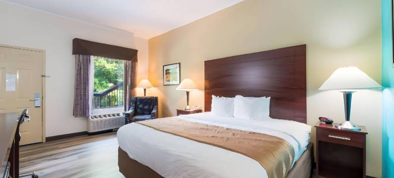 罗金厄姆凯艺套房酒店(Quality Inn & Suites Rockingham)图片