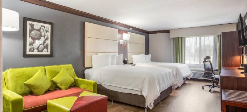 利奥底特律精选酒店, 凯悦臻选酒店(The Leo Collection Detroit, Ascend Hotel Collection)图片