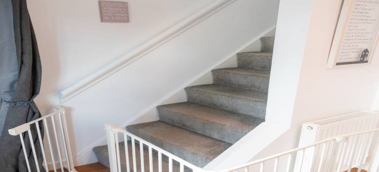 Cottage in Devon near Dog-Friendly Beaches图片