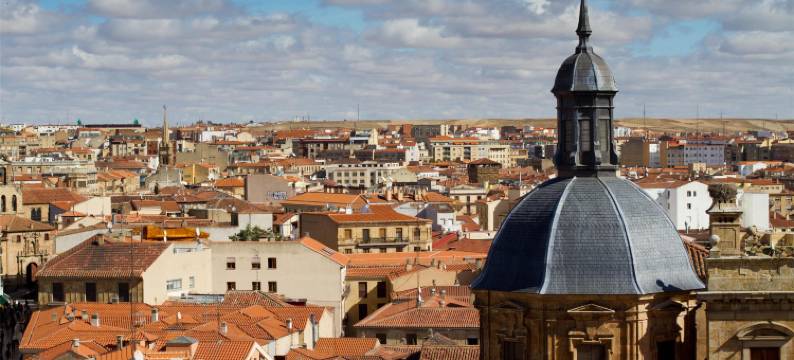 萨拉曼卡卡斯泰拉诺斯宫NH典藏酒店(NH Collection Salamanca Palacio de Castellanos)图片