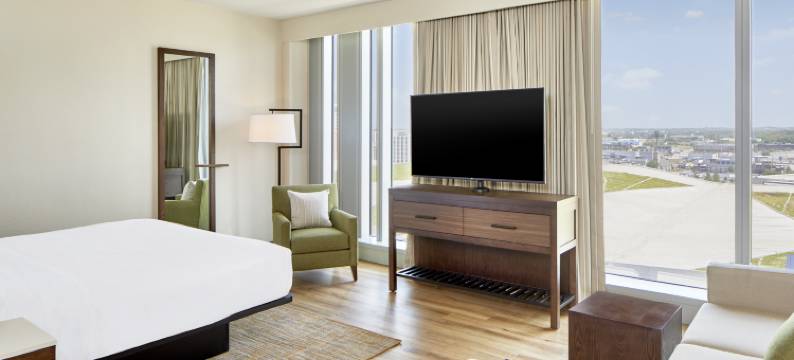 纳什维尔希尔顿希尔顿安泊酒店(Embassy Suites by Hilton Nashville Downtown)图片