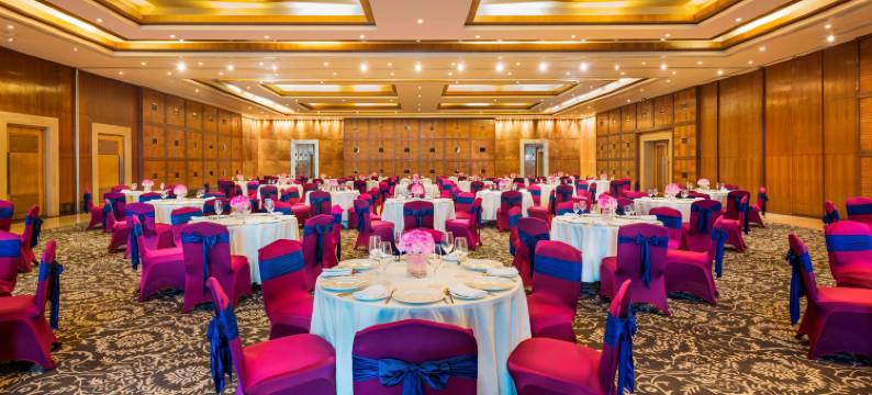 那格浦尔艾美酒店(Le Méridien Nagpur)图片