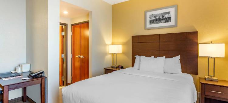 美茵斯坦套房酒店-近丹佛市区(MainStay Suites Near Denver Downtown)图片