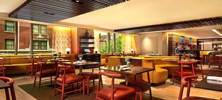 芝加哥壮丽大道凯悦尚萃酒店(Hyatt Centric Chicago Magnificent Mile)图片