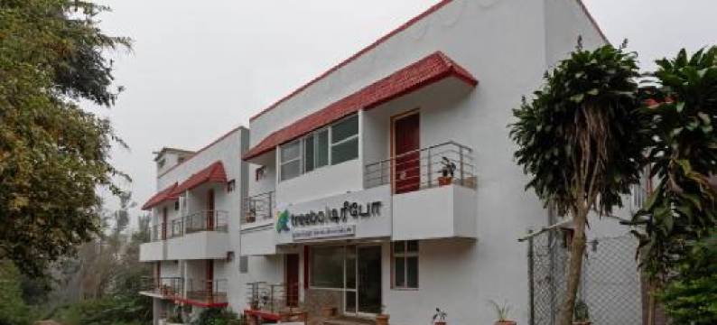 Treebo黄金天堂(Treebo Golden Paradise)图片