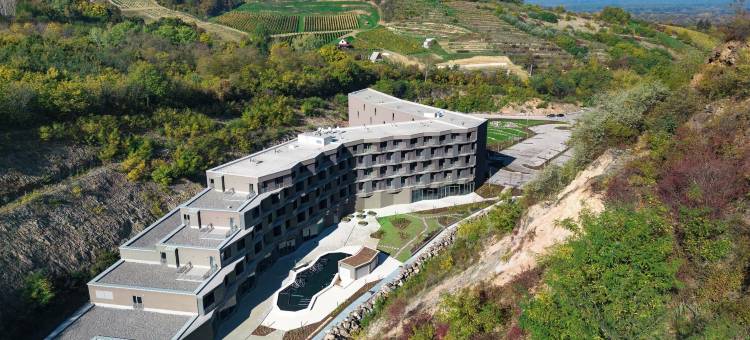 美憬阁托卡伊米纳罗酒店(Minaro Hotel Tokaj  MGallery)图片