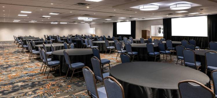 布卢明顿伊代纳希尔顿安泊酒店(Embassy Suites by Hilton Bloomington Edina)图片