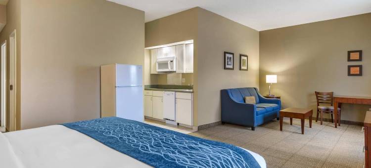 马丁斯堡舒适酒店(Comfort Inn Aikens Center)图片