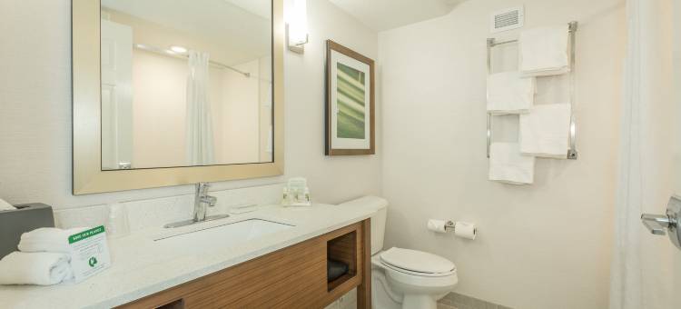 Holiday Inn & Suites 桃树市(Holiday Inn & Suites PEACHTREE CITY by IHG)图片