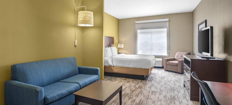 查尔梅特贝斯特韦斯特优质酒店(Best Western Plus Chalmette Hotel)图片