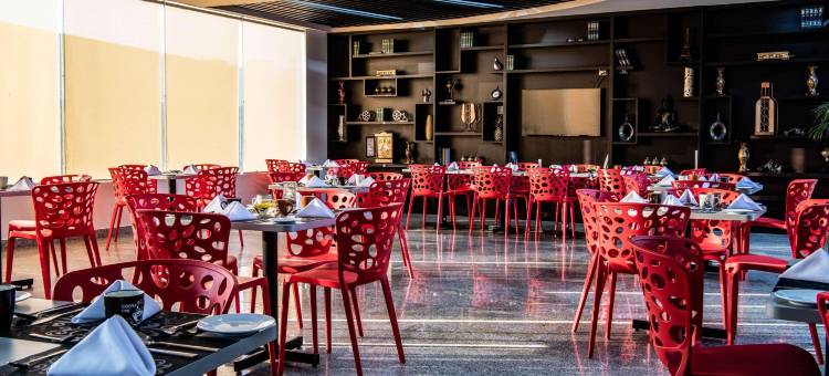 伊拉帕托舒适酒店(Comfort Inn Irapuato)图片