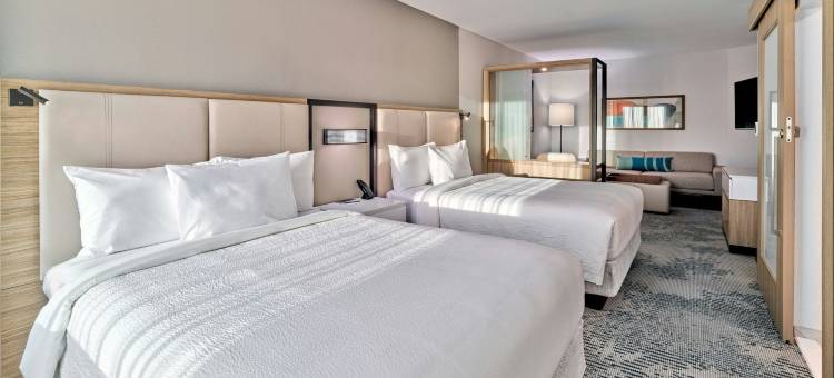 凤凰城吉尔伯特SpringHill Suites酒店(SpringHill Suites by Marriott Phoenix Gilbert)图片