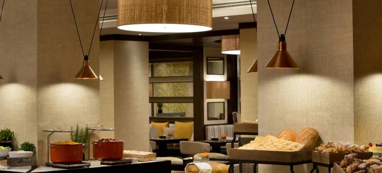 怡东高级酒店(Starhotels Excelsior)图片