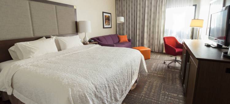 希尔顿欢朋酒店-赛维尔维尔(Hampton Inn Sevierville)图片