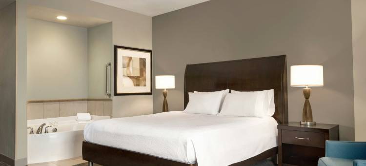 明尼阿波利斯市区希尔顿花园酒店(Hilton Garden Inn Minneapolis Downtown)图片