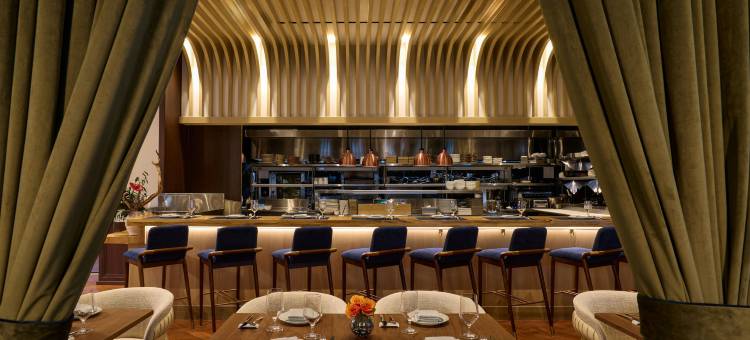威斯汀法拉盛拉瓜迪亚机场酒店(The Westin Flushing LaGuardia Airport)图片