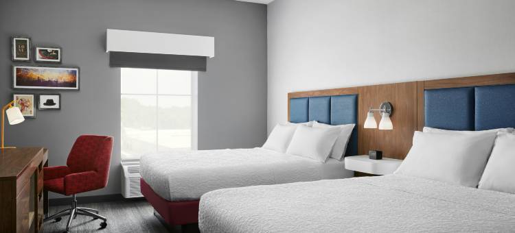 夏洛特斯蒂勒溪希尔顿欢朋套房酒店(Hampton Inn & Suites Charlotte Steele Creek)图片