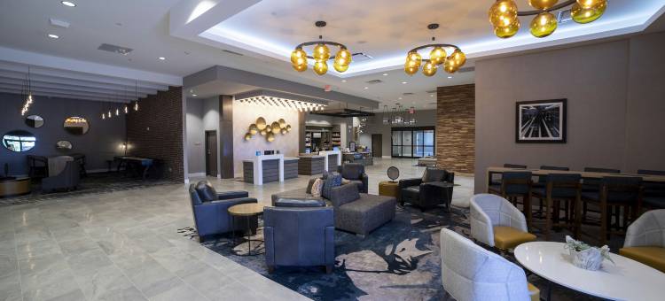 斯帕坦堡希尔顿花园酒店(Hilton Garden Inn Spartanburg)图片
