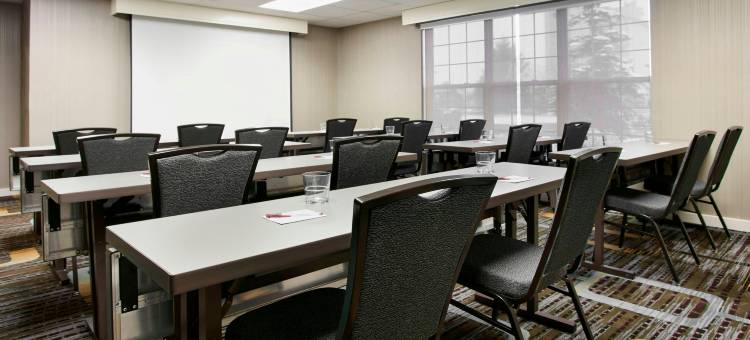 底特律皮蒂亚克奥本山Residence Inn 酒店(Residence Inn Detroit Pontiac/Auburn Hills)图片