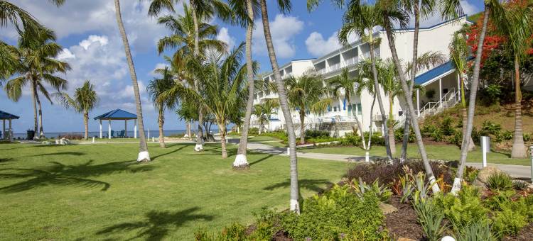 柠檬树海滩度假村 - 温德姆俱乐部酒店(Limetree Beach Resort by Club Wyndham)图片