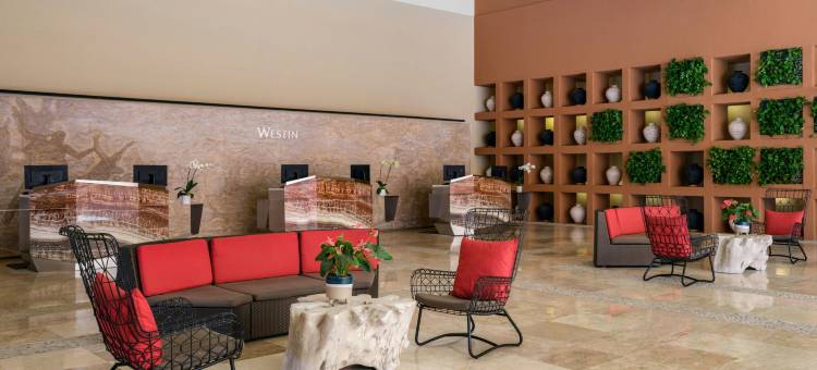 洛斯卡沃斯威斯汀度假别墅-巴哈角(The Westin Los Cabos Resort Villas - Baja Point)图片