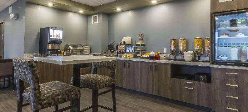 凯艺套房酒店(Quality Inn & Suites)图片