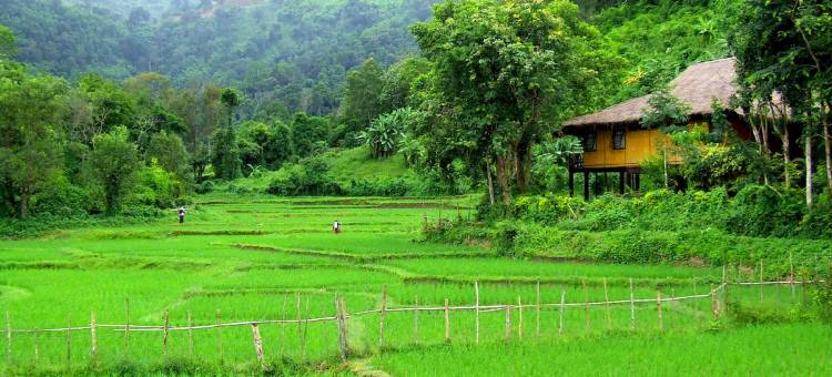 苗族山区部族小屋(Hmong Hilltribe Lodge)图片