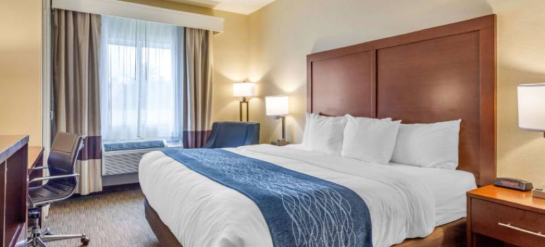 罗克福德舒适酒店(Comfort Inn Rockford Near Casino District)图片