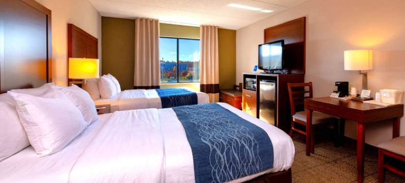 匡蒂科正门北方附近舒适酒店(Comfort Inn Near Quantico Main Gate North)图片