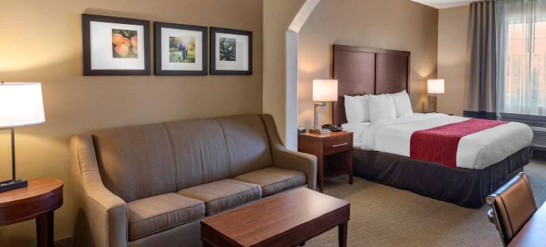 舒适套房酒店(Comfort Inn & Suites)图片