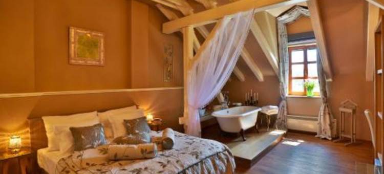 卡尔施泰因浪漫城堡酒店(Romantic Hotel Mlýn Karlstejn)图片