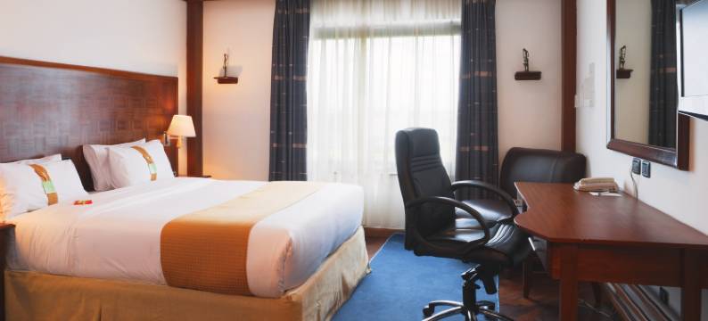 雄鹰旗下棕榈机场城酒店(原假日酒店)(Palms by Eagles Airport City, Formerly Holiday Inn)图片