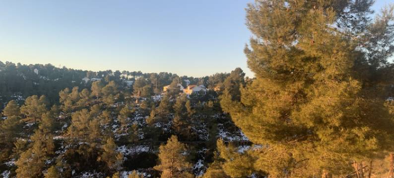 ********************************图片