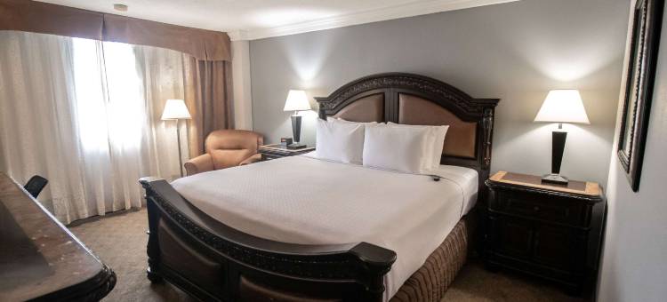 休斯顿瑞利昂特医疗中心温德姆酒店(Wyndham Houston Near NRG Park/Medical Center)图片