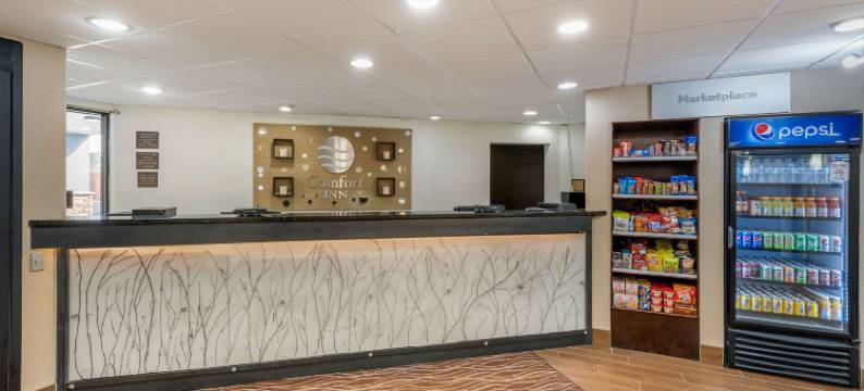 南印第安纳波利斯舒适酒店(Comfort Inn South)图片