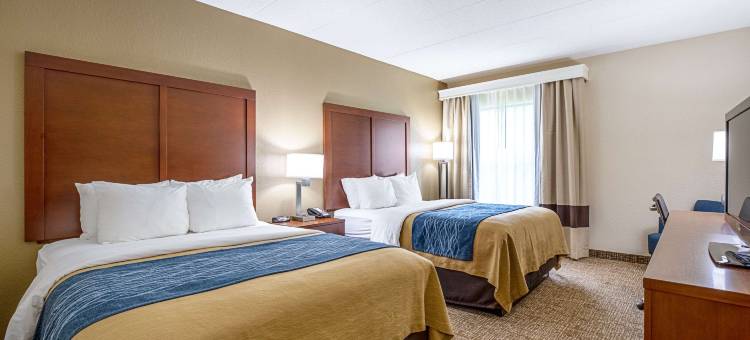 印地安纳波利斯北舒适酒店-卡梅尔(Comfort Inn Indianapolis North - Carmel)图片